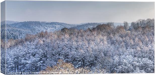 Hillside Cottage Canvas Print by David Tinsley