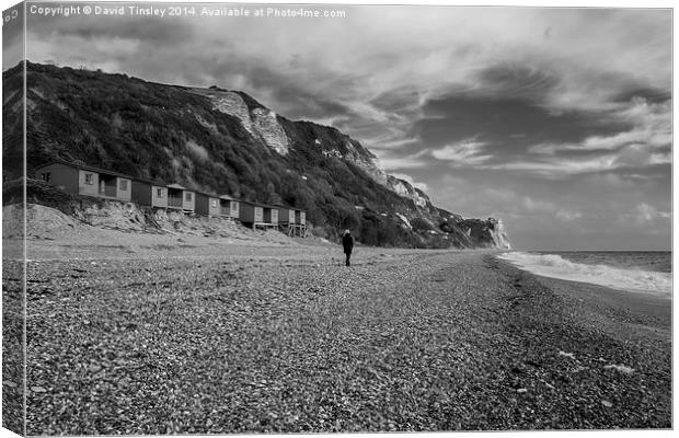  Alone Canvas Print by David Tinsley