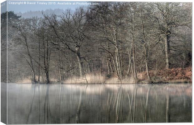  Misty Cannop Ponds Canvas Print by David Tinsley