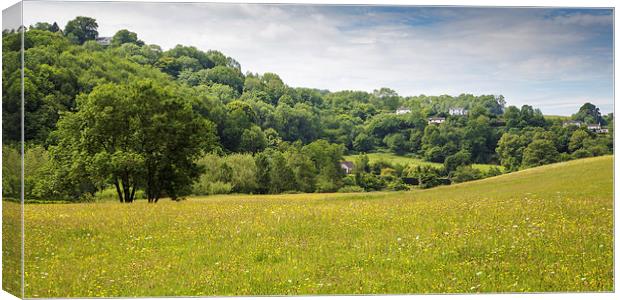  Hillside Cottages Canvas Print by David Tinsley