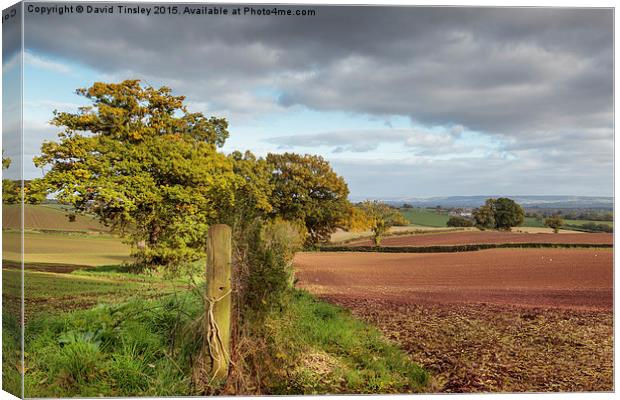  Rural Gloucestershire Canvas Print by David Tinsley