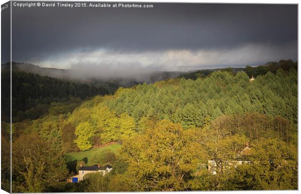 Spring Storm  Canvas Print by David Tinsley