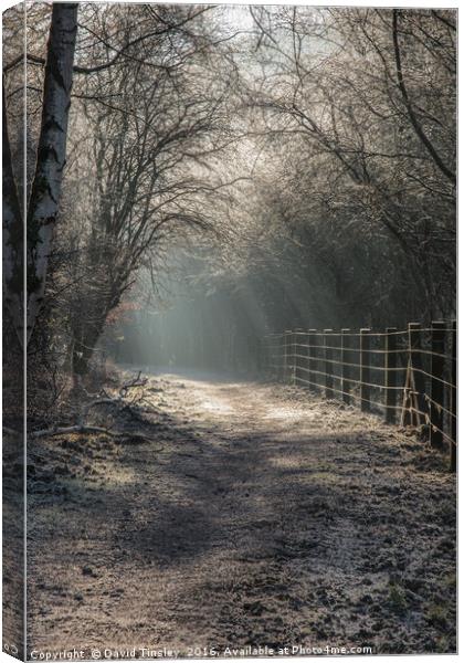 The Old Railway Line Canvas Print by David Tinsley
