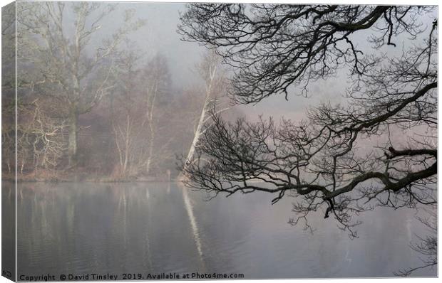 Misty Winter Reflections Canvas Print by David Tinsley