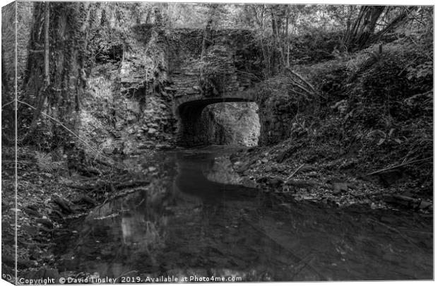 Bridge to Upper Forge  Canvas Print by David Tinsley