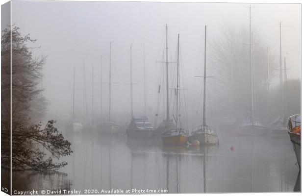 Misty Harbour Reflections Canvas Print by David Tinsley