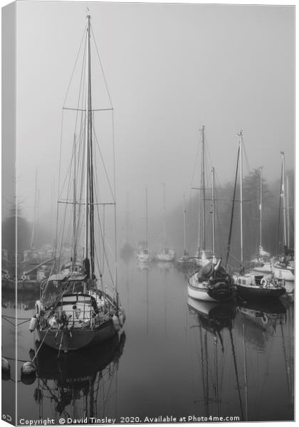 Lydney Harbour Reflections Canvas Print by David Tinsley