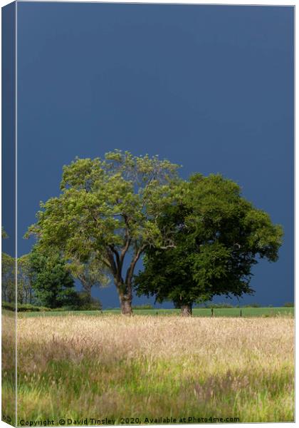 Before the Thunder Storm Canvas Print by David Tinsley