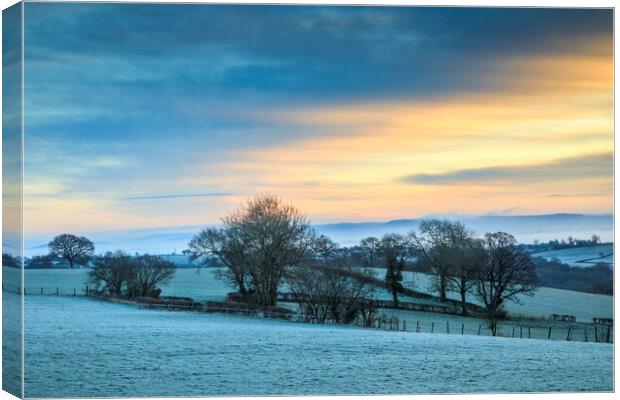 January Sunrise  Canvas Print by David Tinsley