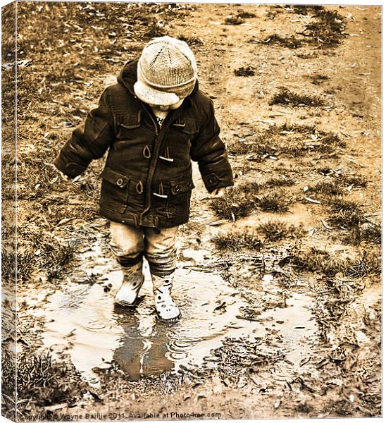 Puddle of Fun Canvas Print by Wayne Baillie