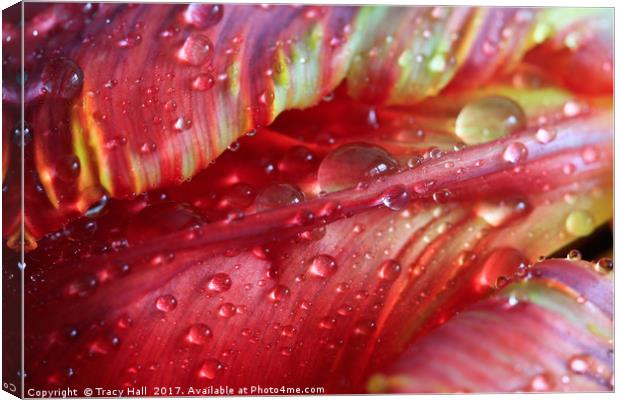 Beaded Tulip Canvas Print by Tracy Hall