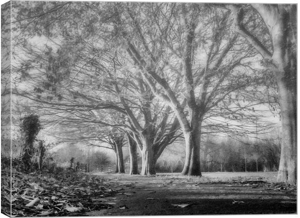 Beneath the trees Canvas Print by Andy dean