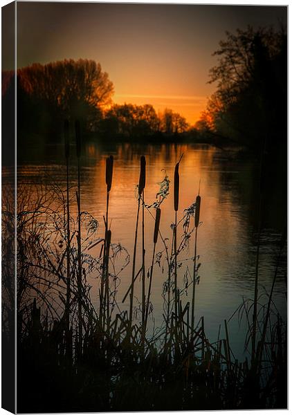 Dawn on the Exe Canvas Print by Andy dean