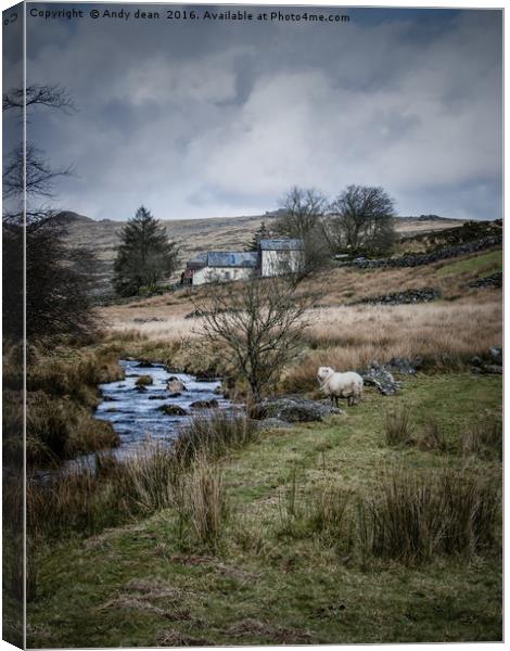 Moorland beauty Canvas Print by Andy dean