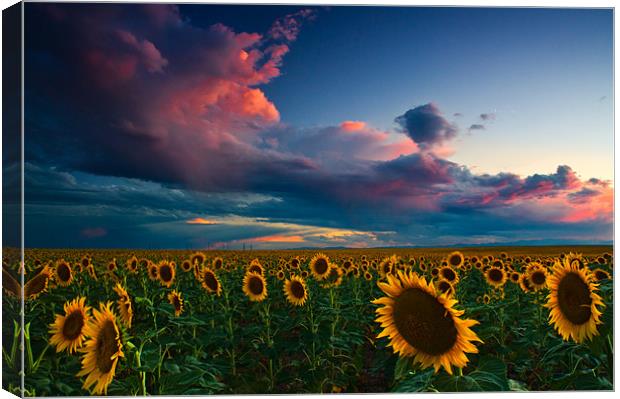 Skies Of A Summer Sunset Canvas Print by John De Bord