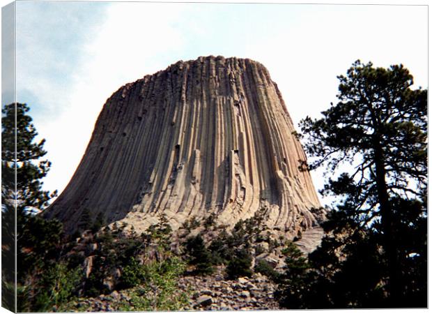 Devils Tower Canvas Print by Barbara Schafer