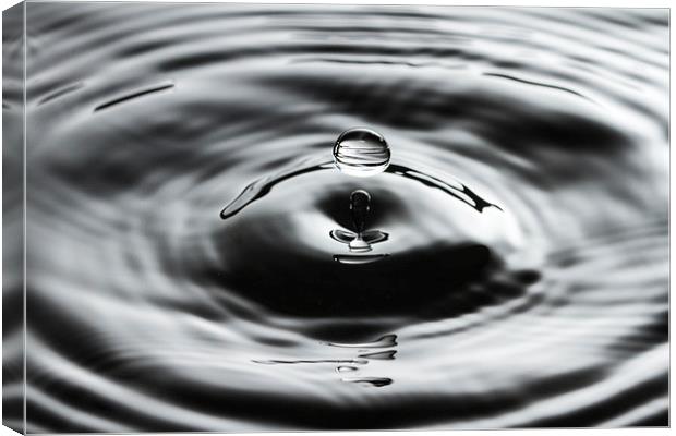 Water Droplet Canvas Print by Malcolm Wood