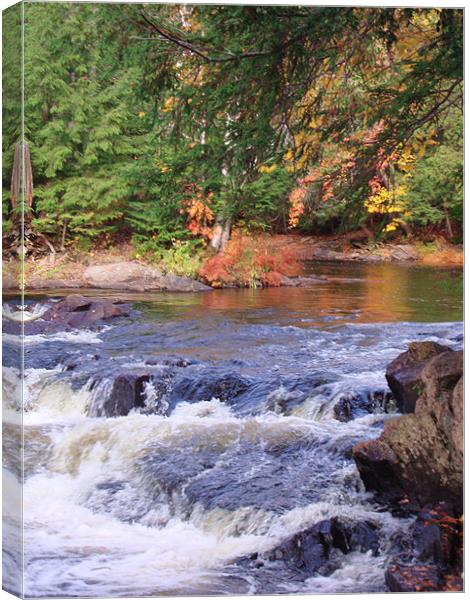 Autumn Glory at Oxtongue River Rapids Canvas Print by Donna-Marie Parsons