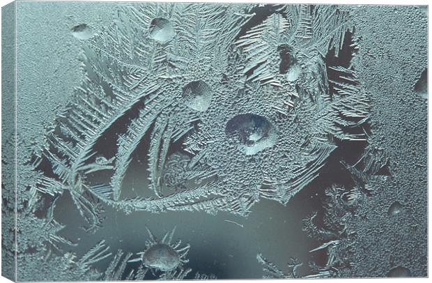 Frost on a winter window Canvas Print by Donna-Marie Parsons