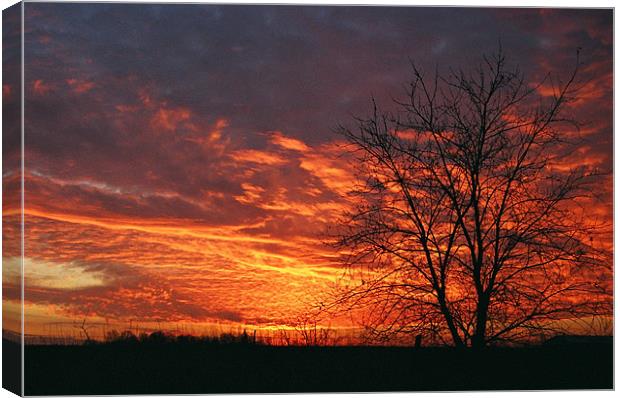 Fiery sunset Canvas Print by Donna-Marie Parsons