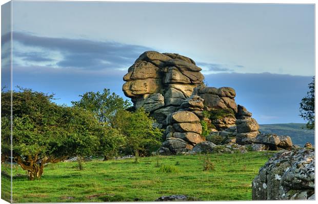 Vixen Tor / The Sphinx of Dartmoor Canvas Print by kevin wise
