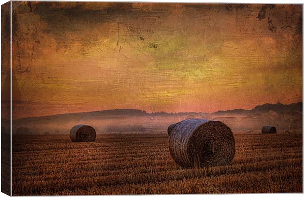 textured misty morning 2 Canvas Print by kevin wise