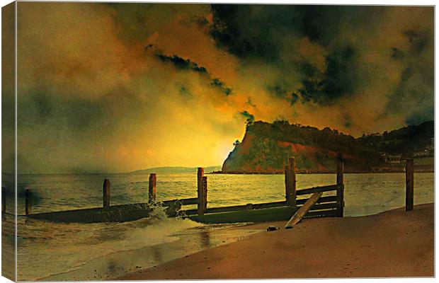 Shaldon cliffs Canvas Print by kevin wise