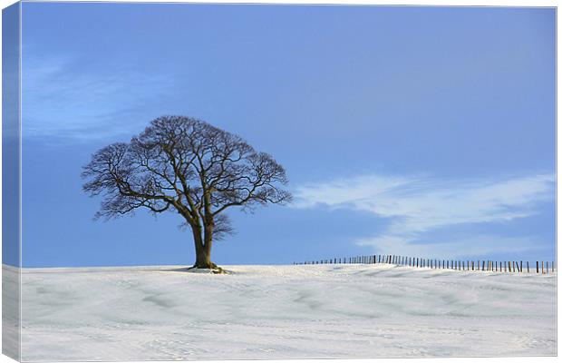 Another blue sky Canvas Print by kevin wise