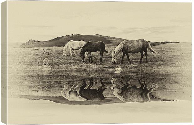 Reflection Canvas Print by kevin wise
