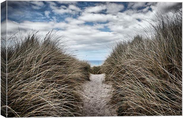 Sandy Pathway Canvas Print by kevin wise