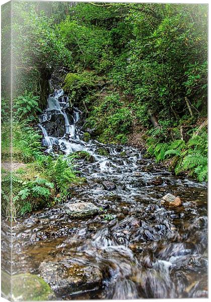 Burrator falls Canvas Print by kevin wise