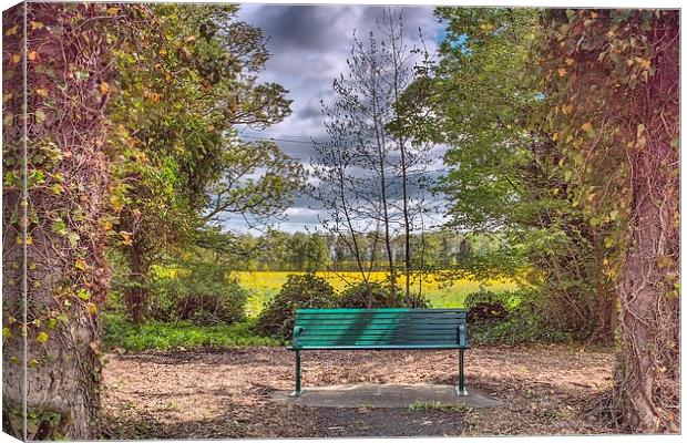  Bench Canvas Print by kevin wise
