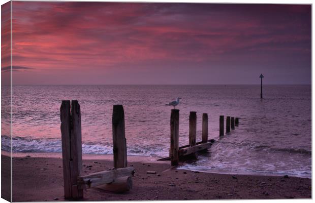   Groyne 1                                   Canvas Print by kevin wise