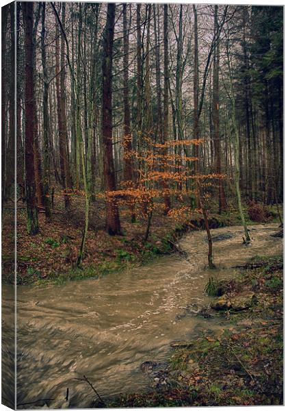 Flooded stream Canvas Print by kevin wise
