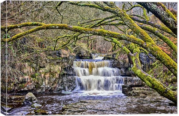 Summerhill Force Canvas Print by kevin wise