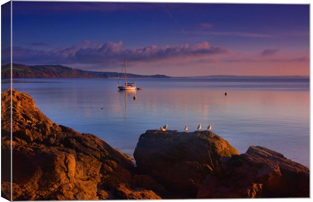 Babbacombe Veiw                                    Canvas Print by kevin wise
