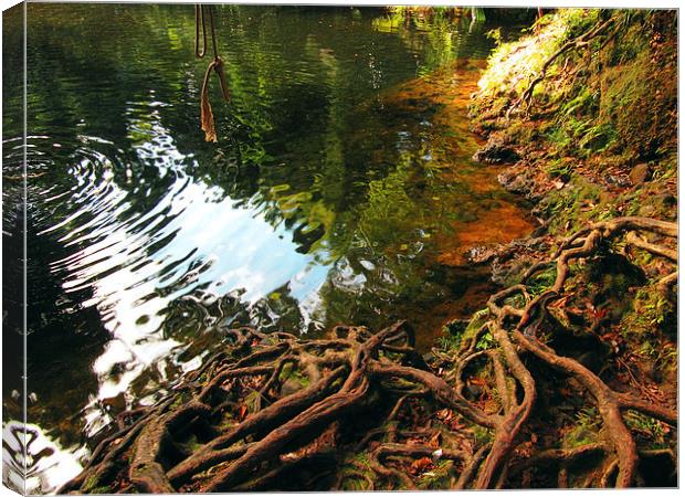 Fantasy Swimming Hole Canvas Print by Luke Newman