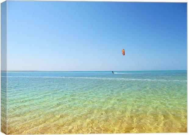 Windsurfer in the Shallows Canvas Print by Luke Newman