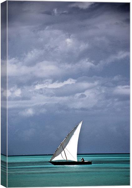 Calm before Storm Canvas Print by Jamie Beck