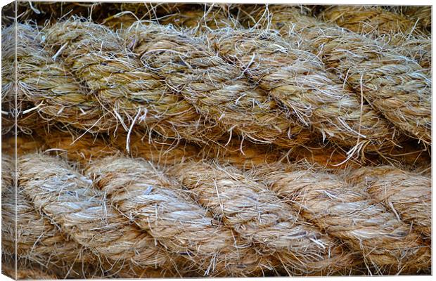 Any old rope Canvas Print by Kevin White