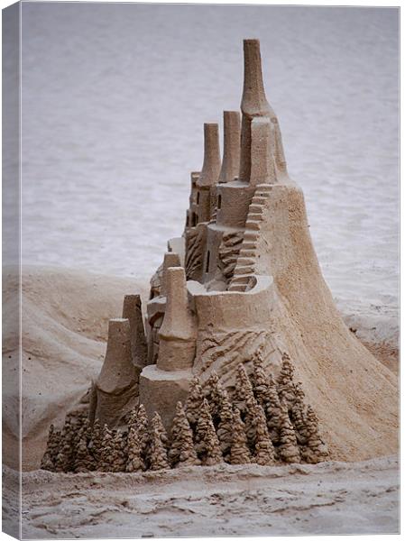 Sand spires Canvas Print by Kevin White