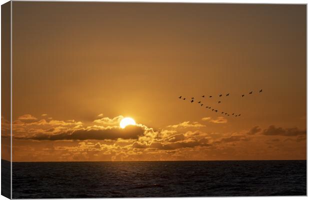 Geese flying over a warm and romantic sunset on th Canvas Print by Ankor Light