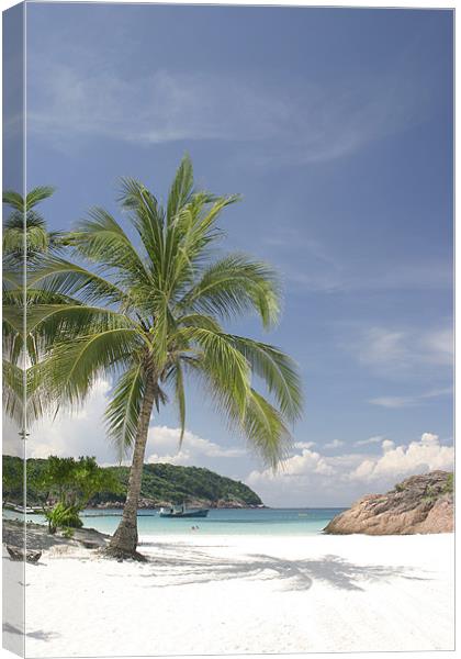 Clear water beach Canvas Print by Ankor Light