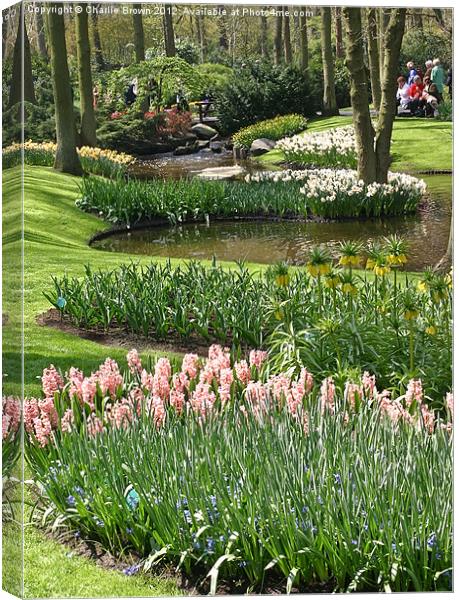 Keukenhof Garden Canvas Print by Ankor Light