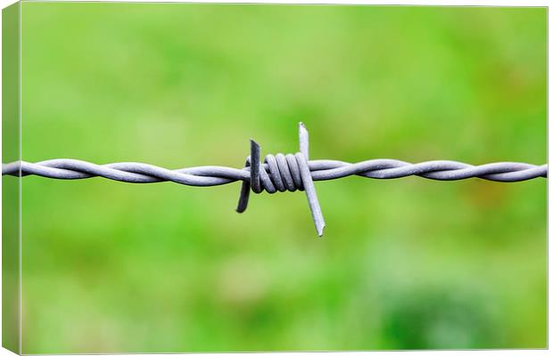  Sharp Barbed wire node Canvas Print by Ankor Light