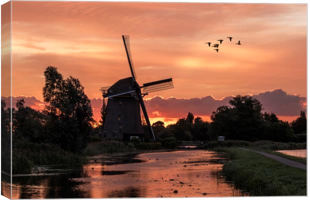 Group of duck flying over a windmill at the warm a Canvas Print by Ankor Light