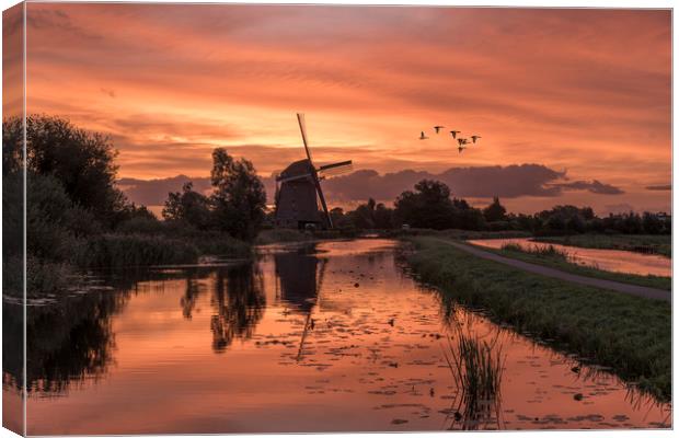 Group of duck flying over a windmill at the warm a Canvas Print by Ankor Light