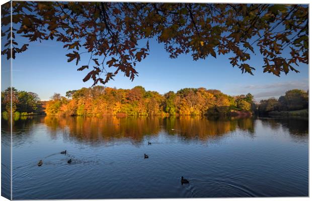 Autumn lake surrounded by autumnal trees Canvas Print by Ankor Light