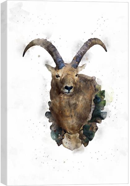 Hunting Trophy hanging on the chalet wall at Galtü Canvas Print by Ankor Light