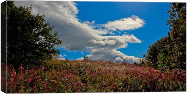 Skies over Stirlinghire Canvas Print by Buster Brown